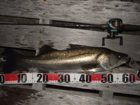 新しいリールで