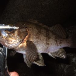 風が止んでから