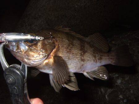 風が止んでから