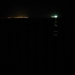 ロックフィッシュ狙いでガシラ連発