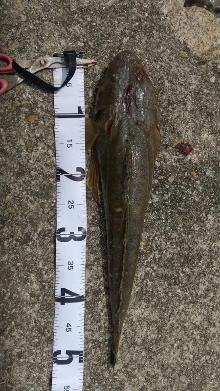 釣り物&場所移動