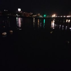 久しぶりの釣行