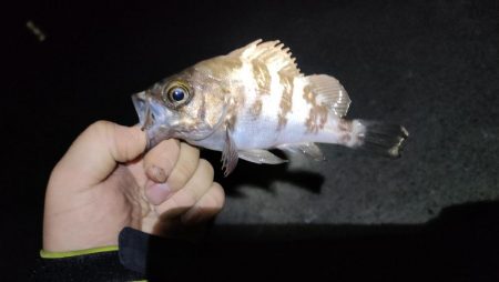 あたりぼちぼち