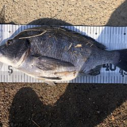 イチノ兄弟、釣果！