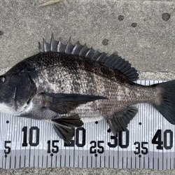 イチノ兄弟、釣果!