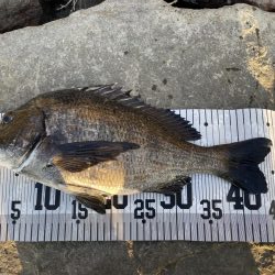 イチノ兄弟、釣果！