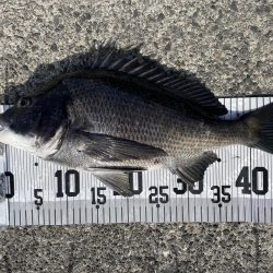 イチノ兄弟、釣果！