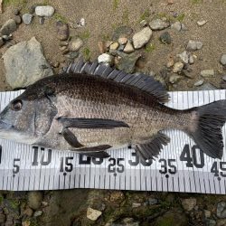 イチノ兄弟、釣果!