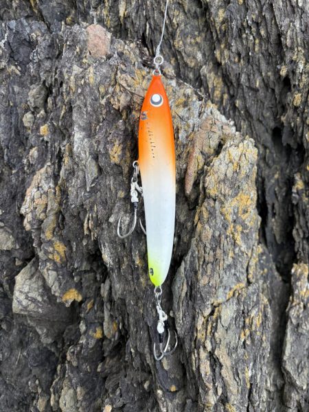 ショアプラッキング