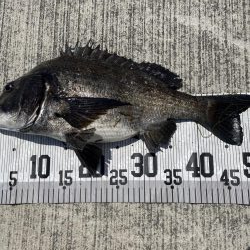 イチノ兄弟、釣果！