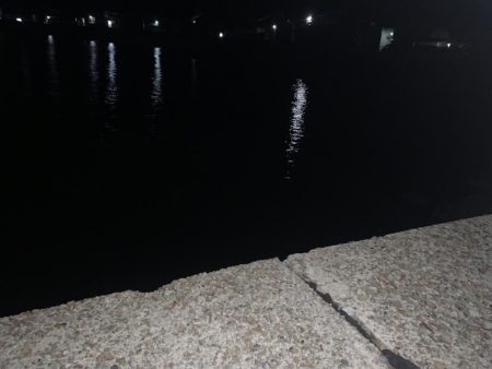 今年の初アジフライ