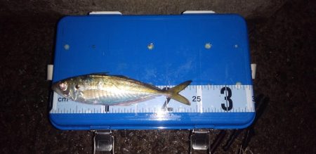 豪雨一時爆風時々