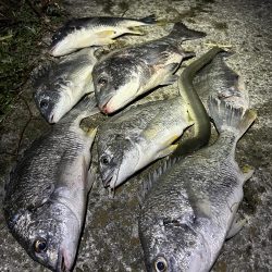 ★★アタリ連発・初ウナギもゲット★★