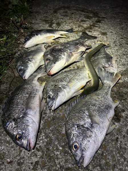 ★★アタリ連発・初ウナギもゲット★★