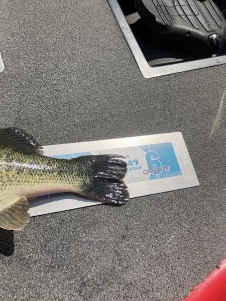 GW初日北山田55〜40cm 4発