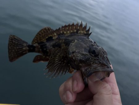 春のガッシー祭り2nd