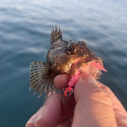 ガッシーに癒されず不満！