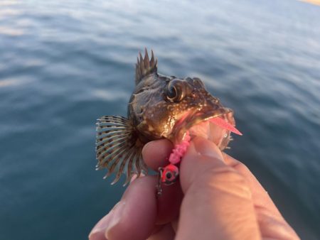 ガッシーに癒されず不満！