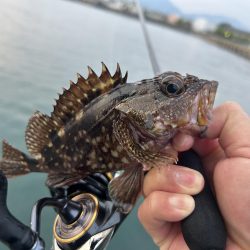 春のガッシー祭り5th