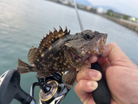 春のガッシー祭り5th