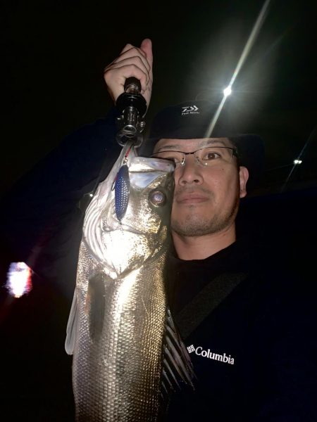 シーバス×スプーン