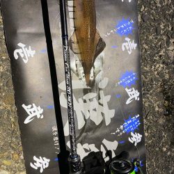 深夜ライトゲーム