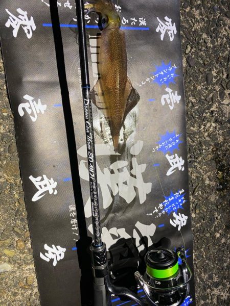 深夜ライトゲーム