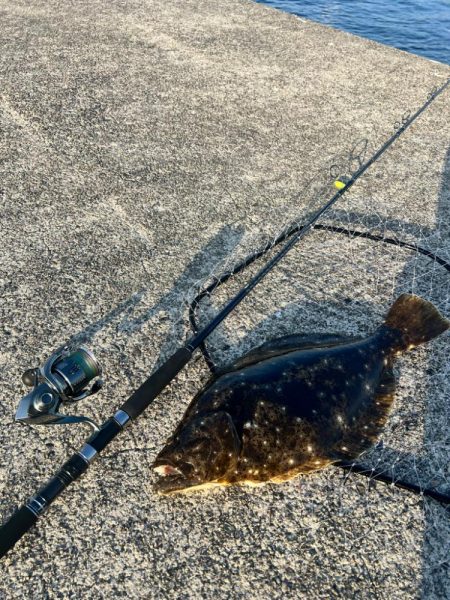 アジの泳がせでヒラメ