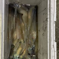 今週末も行ってきました！