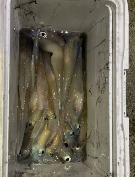 今週末も行ってきました！