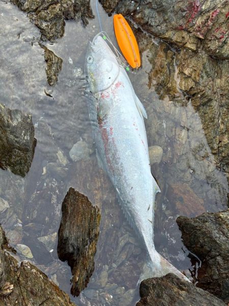 ショアプラッキング