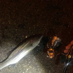 近場でライトゲーム