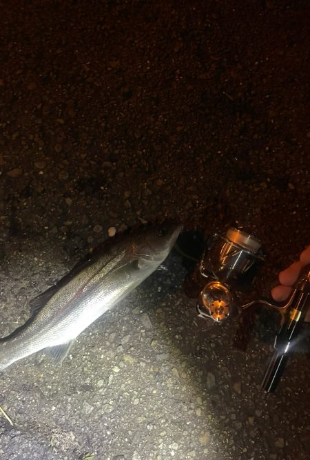 近場でライトゲーム