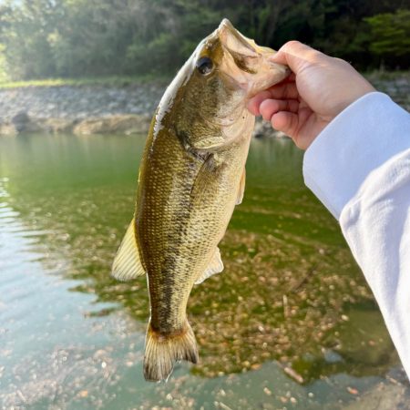 フリック牧場を満喫🌸