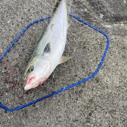 今シーズン初釣行