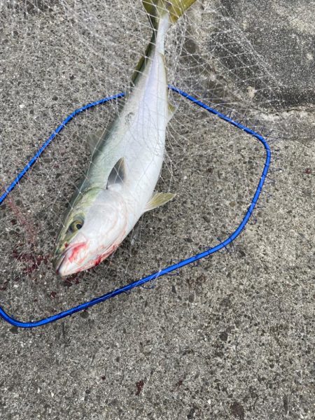 今シーズン初釣行