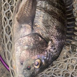 仕事帰りチニング！