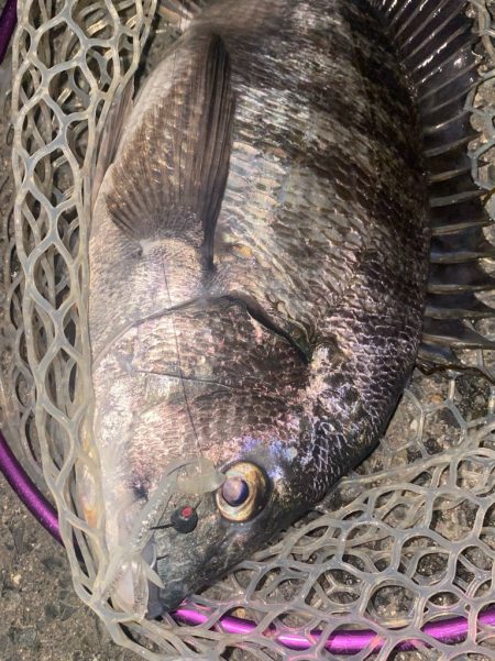 仕事帰りチニング！