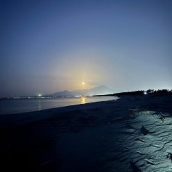 サーフ?絡みの堤防