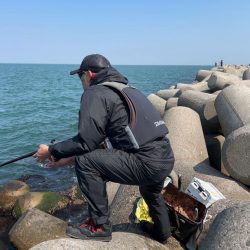 魚津港フカセグレ