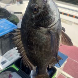 3ヶ月ぶりの釣行(インショア)