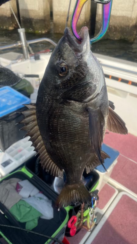 3ヶ月ぶりの釣行(インショア)