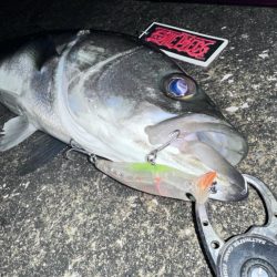 悶絶からの至福のシーバスフィッシング！