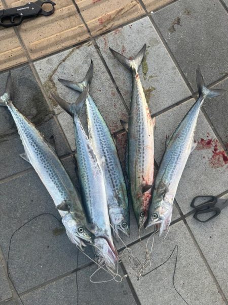 ライトショアジギング🎣