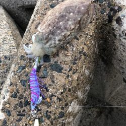 ポカポカ陽気に誘われて