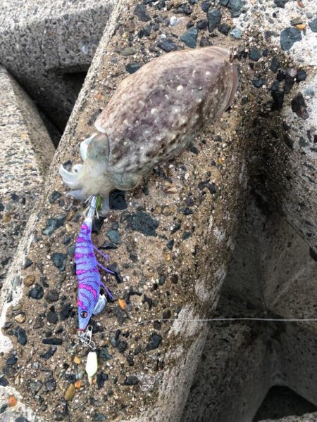 ポカポカ陽気に誘われて