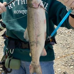 久しぶりのエリアニジマス