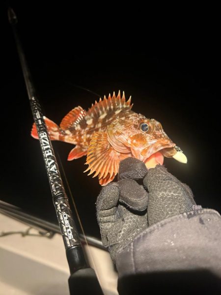 ボートメバリング！