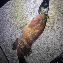 シーズン開幕✌️