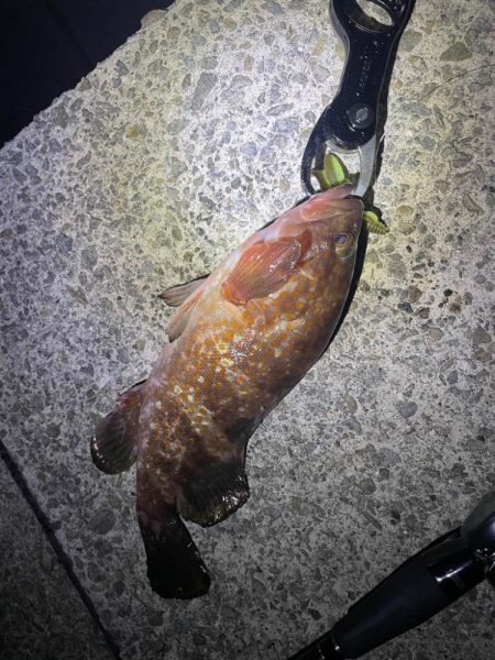 シーズン開幕✌️